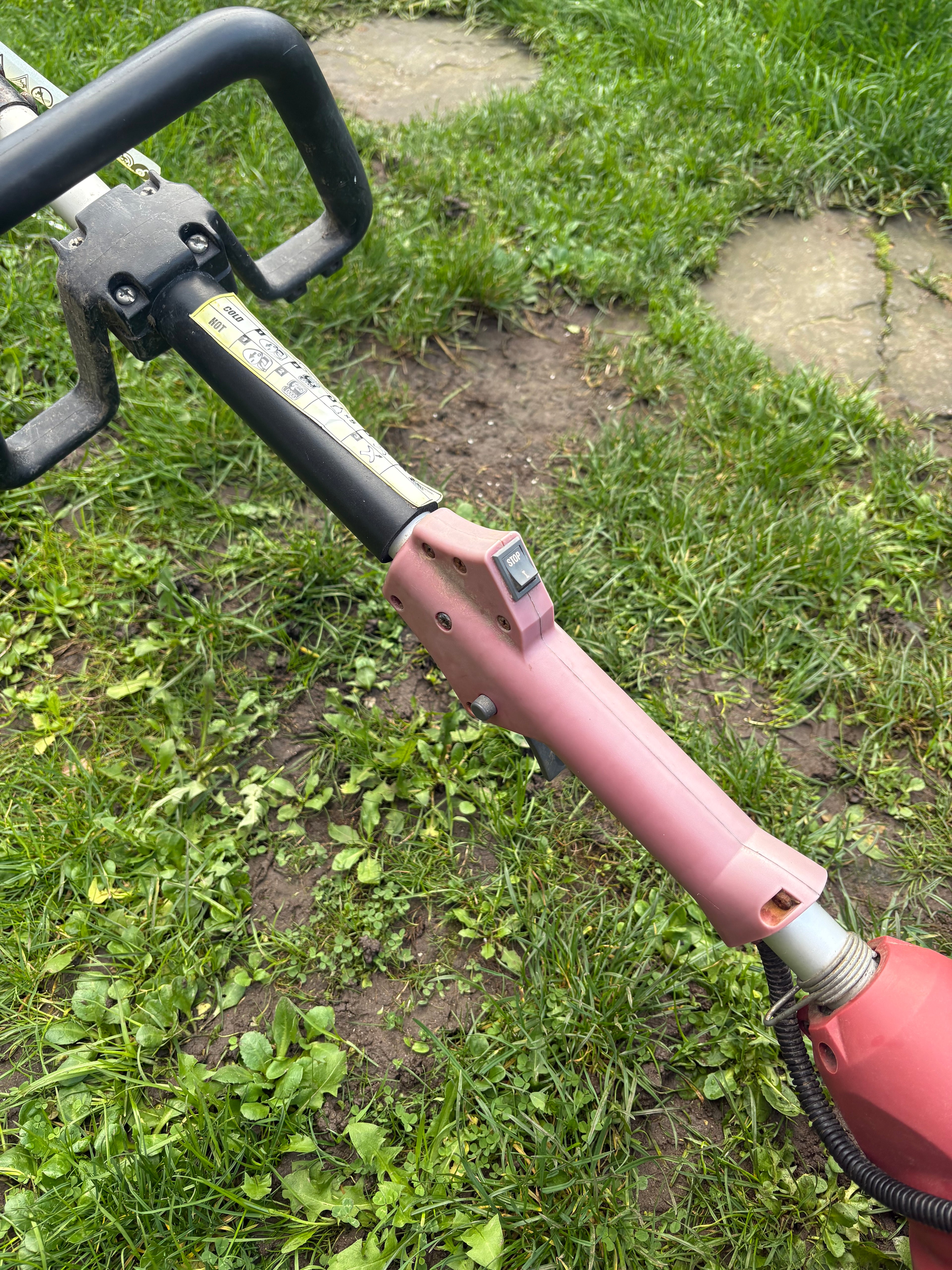 Challenge Extreme SGT34N 33cc 2 Stroke Petrol Strimmer - Runs And Works Well